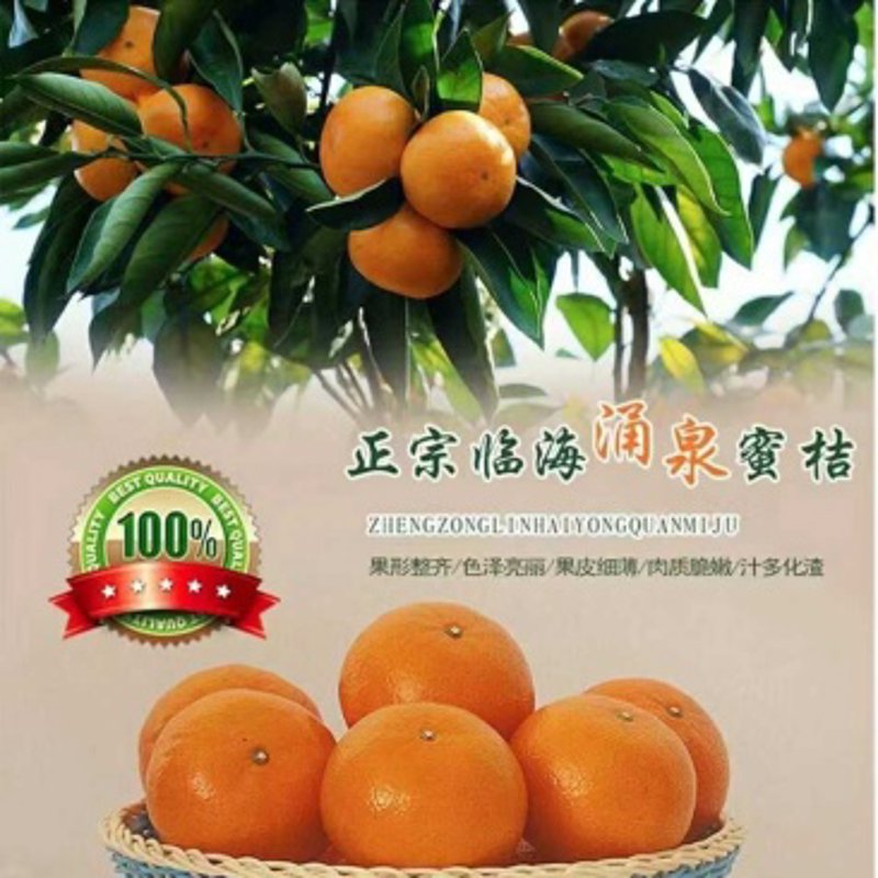 蔬菜配送：让餐桌更绿的便利选择