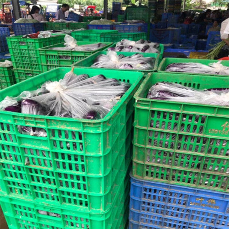 临海农产品批发市场的攻略