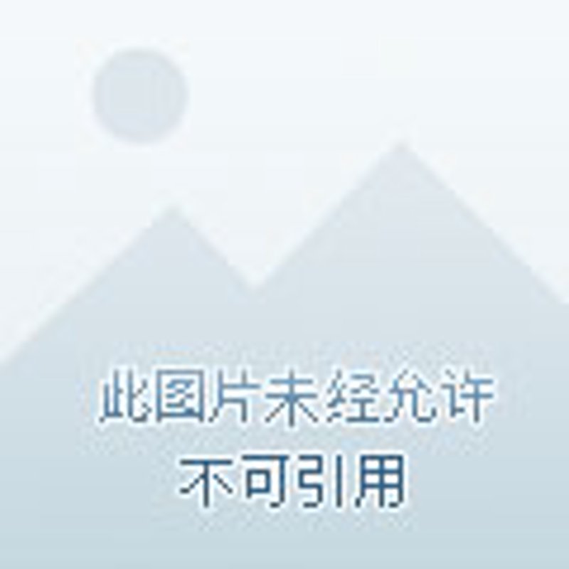 临海农产品批发行业的现状如何？
