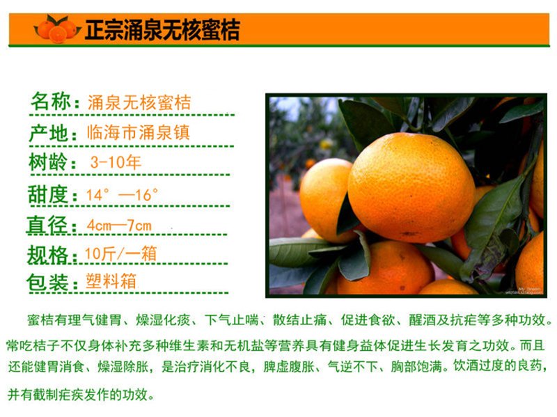 水果批发:从新手到专业人士的全程指南